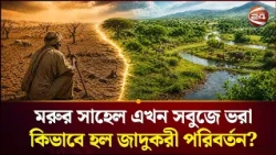 প্রকৃতি কিভাবে ফিরলো আপন রূপে? | Nature | Environment | Channel 24