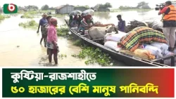 কুষ্টিয়া-রাজশাহীতে ৫০ হাজারের বেশি মানুষ পানিব'ন্দি | Kushtia | Rajshahi | Waterlogging
