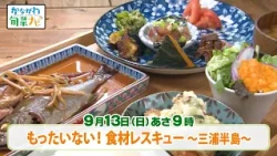 かながわ旬菜ナビ　次回予告（9月13日放送）