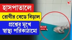 Nadia | হাসপাতালে রোগীর বেডে বিড়াল প্রশ্নের মুখে স্বাস্থ্য পরিকাঠামো