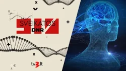 Baimė, nerimas ir kiti smegenų spąstai: neuromokslininkė dalijasi, kaip to išvengti | SVEIKATOS DNR