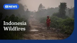 Toxic wildfires spurred by drought conditions choke South-East Asia | ABC NEWS