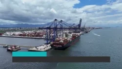 Brazilian fruit exports grew 20.4% in the first half of the year | News Roundup