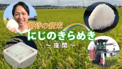 「期待の新米 "にじのきらめき" ～座間～」かながわ旬菜ナビ 2026/10/18放送
