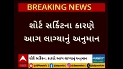 Ahmedabad | દાણીલીમડા પોલીસ સ્ટેશનના પાર્કિંગમાં આગ, અનેક વાહનો બળીને ખાખ
