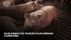 Pork Producer Day: Tradition and Added Value to Pork