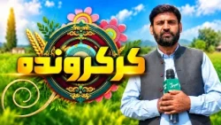 Kar Karwanda | 11 September  2026 | Khyber News