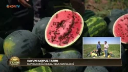 AGRICULTURE ACADEMY - EPISODE 10 - MELON AND WATERMELON FARMING - SEPTEMBER 9, 2026