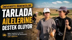 UNIVERSITY STUDENTS SUPPORT THEIR FAMILIES IN THE FIELDS @Kanal33mersin