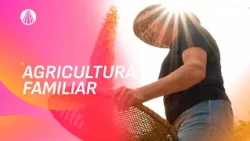 Agricultura familiar: histórias de quem faz do campo seu jeito de viver | Arquivo A