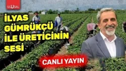 The Struggles of Honey Producers | Voice of the Producer with İlyas Gümrükçü | Uğur Topuz