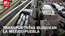 N+ Morning News Brief for July 21, 2026