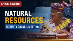 Critical minerals: Global demand should harness new wealth - WTO Briefing | United Nations