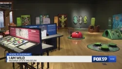 Where is Sherman? I AM WILD: A Charlie Harper Exhibit, Part 2