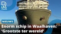 Het grootste steenstortschip ter wereld ligt in de Waalhaven | Rijnmond