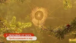 Пробуждающийся мир | С любовью от Бога