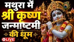 Krishna Janmashtami Mathura Live: गोकुल में छाई बहार, आया कृष्ण का त्योहार | Gokul | UP