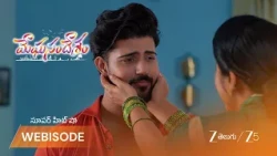 Meghasandesam | శారదతో గగన్ వాగ్వాదం.. ఆందోళన?