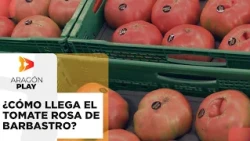 How does Barbastro pink tomato reach the Mercadona produce section?