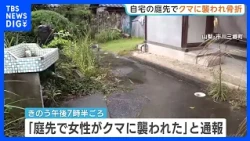 93-Year-Old Woman Suffers Broken Leg in Bear Attack; Conscious and Able to Talk When Transported;...