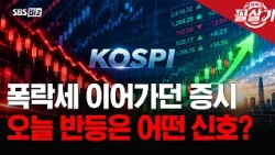 [Kill Shot] KOSPI Plummets for 7 Consecutive Days: How Should We Interpret Today's Rebound?