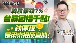 中視【股市最錢線】20261013 #高閔漳：韓股暴跌7%，台股回檔千點！跌停板是用來撿便宜的 #中視 #中視新聞 #股市最錢線 #高閔漳 #分析師 #股票 #股市看中視 #華冠投顧