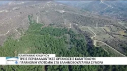 Περιβαλλοντικές οργανώσεις καταγγέλλουν παράνομη υλοτομία στα ελληνοβουλγαρικά σύνορα