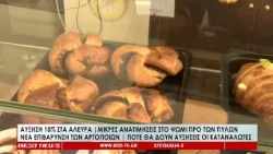 Αύξηση 10% στα άλευρα, ανατιμήσεις στο ψωμί προ των πυλών