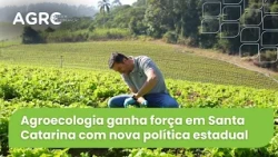 Agro Saúde e Cooperação - Produção Agroecológica