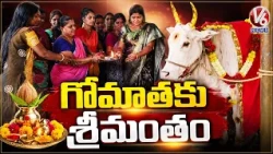 BJP leaders Conduct Sree Mantham to Mother Cow In Ap|  V6 News