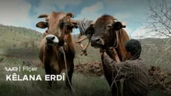 Fîçer - Kêlana Erdî | فیچەر- کێلانا عەردی