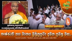 තෘෂ්ණාව සහ මානය මුලිනුපුටා දමන ප්‍රබල මඟ... | Ven Palathota Pannananda Thero | 2026-08-28 | 11:30AM