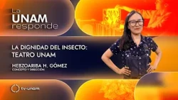 The Dignity of the Insect: Teatro UNAM. UNAM Responds 1381