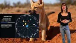 Horoscope for July 26, 2026: Discipline and Reflection