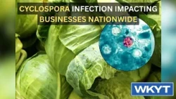 Cyclospora infection impacting businesses nationwide