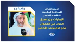 Director General of the World Green Economy Organization: The UAE is one of the fastest countries...