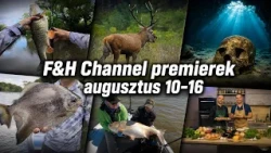 Legújabb filmjeink a csatornán: augusztus 10-16.