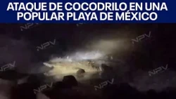 Ataque de cocodrilo en una popular playa de México | FOX 7 Español
