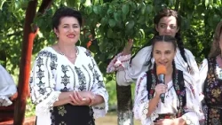 Partying with Transylvanians July 17, 2026