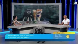 Треньор на кучета: Децата не знаят как да се държат около животни, отговорността е и на стопанина