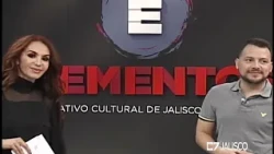 ELEMENTOS 11 07 19