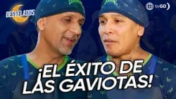 Desvelados: Las gaviotas cruzan las fronteras