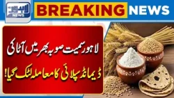 Flour Supply Crisis? Demand and Supply Issue Remains Unresolved | Breaking News | Lahore News HD