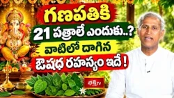 Vinayaka Chavithi 2026 | గణపతికి 21 పత్రాలే ఎందుకు..? వాటిలో దాగిన ఔషధ రహస్యం ఇదే! | Bhakthi TV