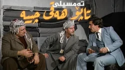 تەمسیلی کوردی _ تاپۆ هەقی چییە