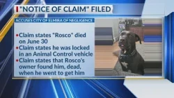 Owner of dog who died in Animal Control vehicle files claim against City