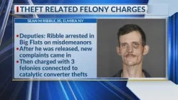 Sheriff: Man charged with grand larceny after thefts