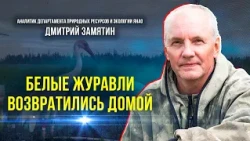 В Куноватском заказнике выпустили семь стерхов для восстановления популяции