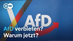 AfD-Verbot: Kann der Vorstoß von 1000 Juristen klappen?