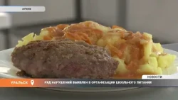 Numerous Violations Uncovered in School Catering Services